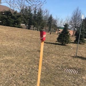 Meet your Posher, Ivy